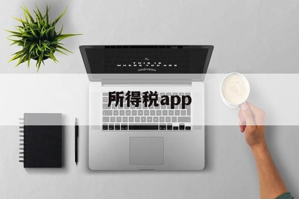 所得税app(中国税务个人所得税app)